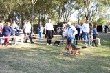 CACIB ADA